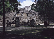 Temple IV in Calakmul's Central Plaza - calakmul mayan ruins,calakmul mayan temple,mayan temple pictures,mayan ruins photos
